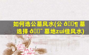 如何选公墓风水(公 🐶 墓选择 🐯 墓地zui
佳风水)
